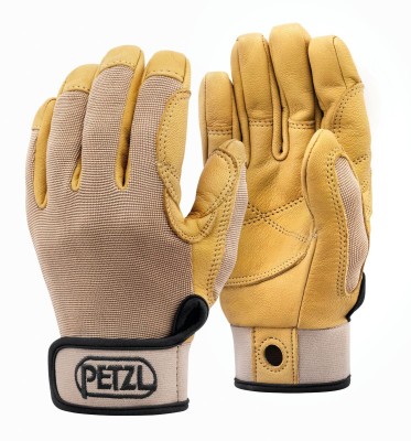 cordex_beige_2024.jpg