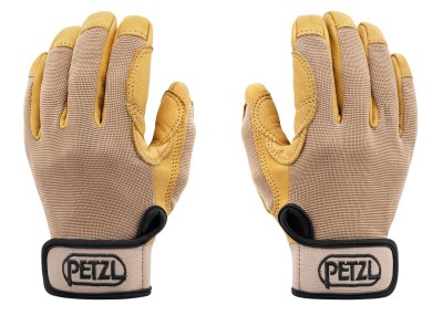 cordex_beige_2024_1.jpg