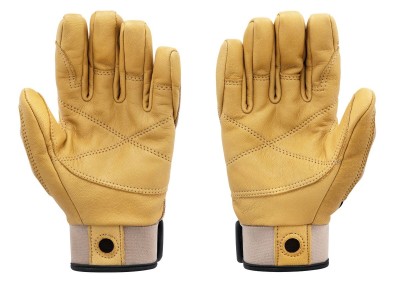 cordex_beige_2024_2.jpg